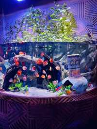 🐢🌊  The Sea Shell – Inside the Giant Turtle of VinWonders Phu Quoc