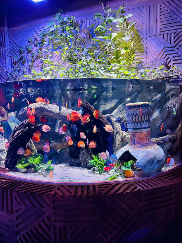 🐢🌊  The Sea Shell – Inside the Giant Turtle of VinWonders Phu Quoc