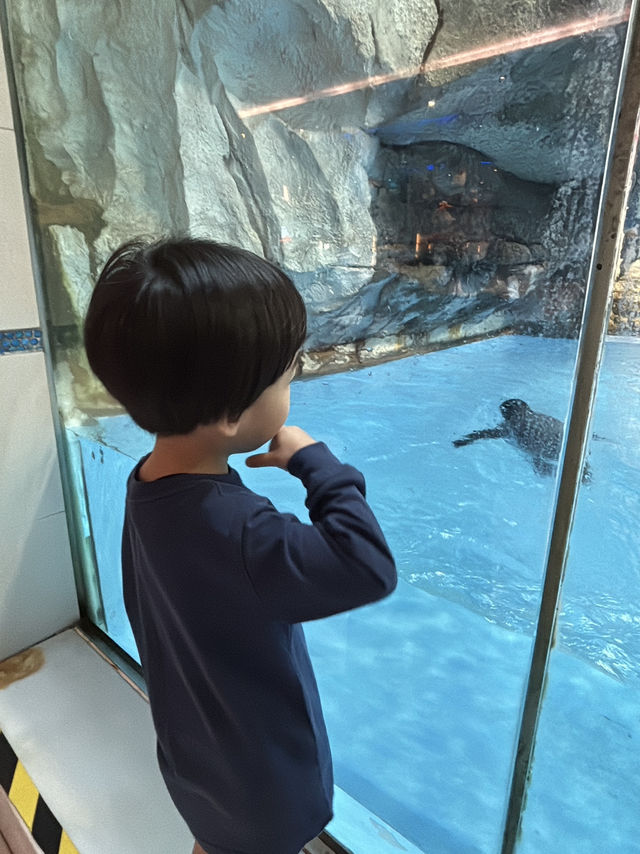  Chimelong Penguins Hotel