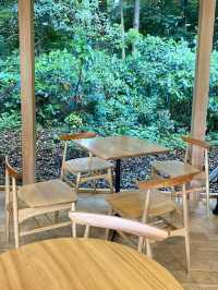 Tranquil Sips by the Shrine Gate 🍵✨