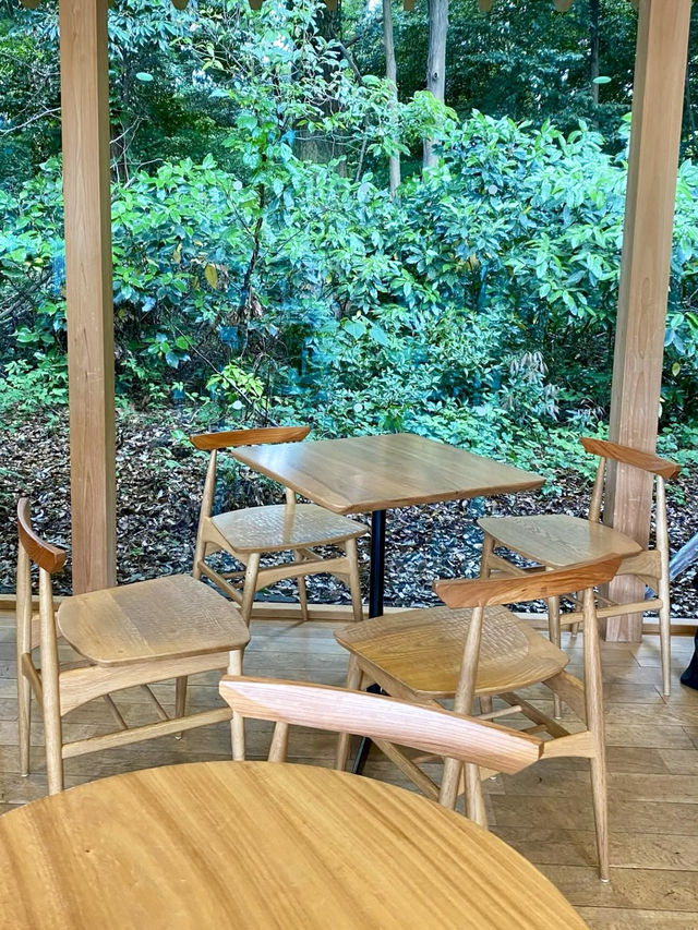 Tranquil Sips by the Shrine Gate 🍵✨