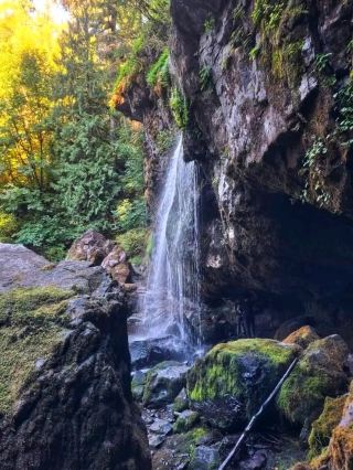 💦 Marshall Falls – Guyana’s Hidden Jungle Paradise 🇬🇾🌴