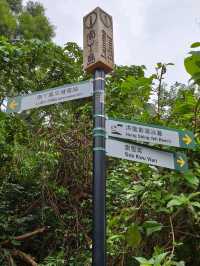 流動畫册下之【南丫島】份外浪漫又具詩意!