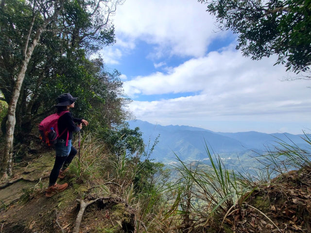 櫻花竹林秘境．石壁山壯麗之旅