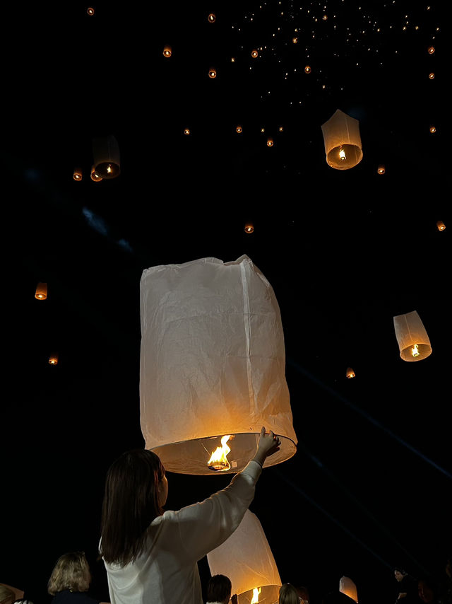 念願のコムローイ祭り!! 念願のコムローイ祭り!!