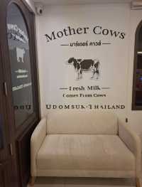 🐮 Mother Cow ร้านนมอบอุ่นหัวใจ เหมือนย้อนวัย