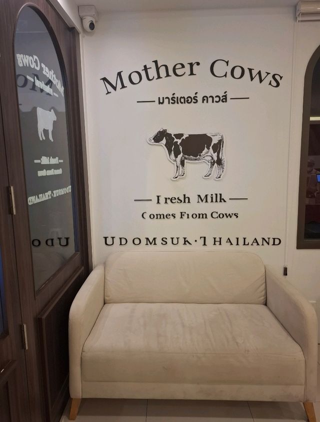 🐮 Mother Cow ร้านนมอบอุ่นหัวใจ เหมือนย้อนวัย