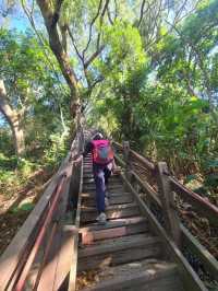 【新田步道・輕登小百岳-聚興山｜的山林小旅行】
