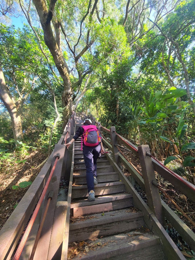 【新田步道・輕登小百岳-聚興山｜的山林小旅行】