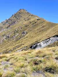 【クイーンズタウン】絶景！Ben Lomond登山＆Skylineゴンドラ体験