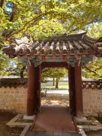 The Photogenic Heart of the Hanok Village