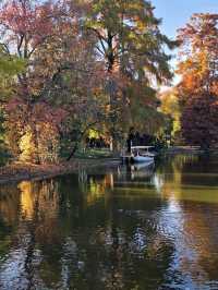 🌳 Public Garden – Jardin Public