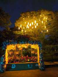 ✨ 한국민속촌 야간개장 전통 한옥 야경 산책코스