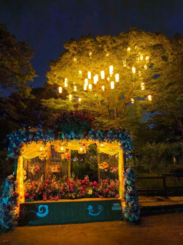 ✨ 한국민속촌 야간개장 전통 한옥 야경 산책코스