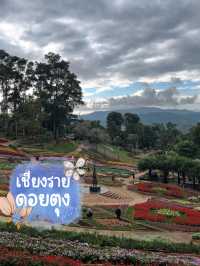 ดอยตุง จ.เชียงราย