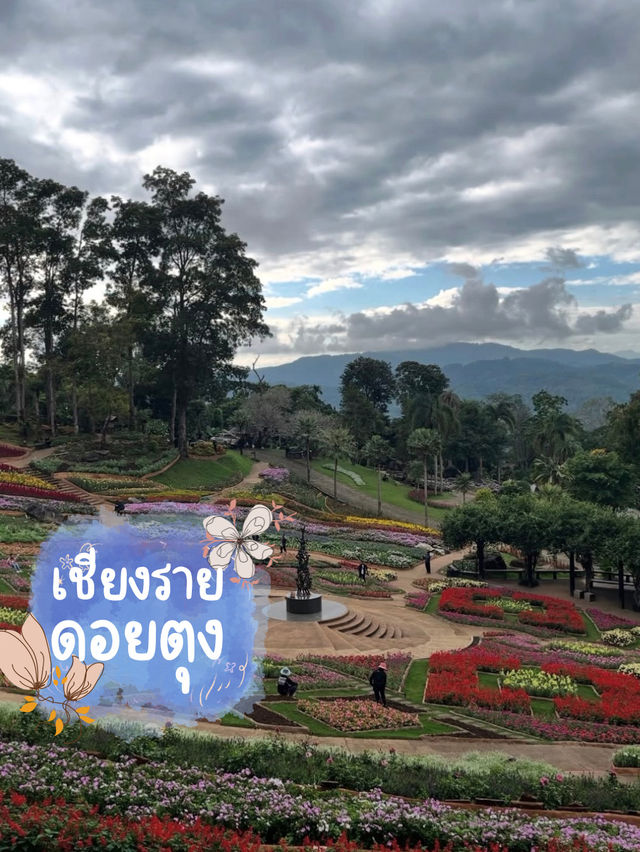 ดอยตุง จ.เชียงราย ดอยตุง จ.เชียงราย