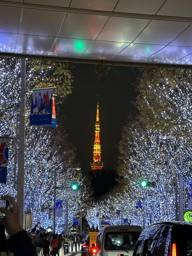 🎄日本東京｜六本木聖誕點燈 冬天限定的浪漫光之道