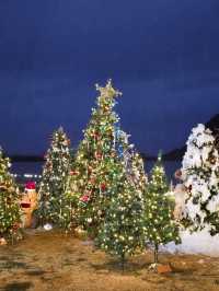 매일 눈내리는 경주 크리스마스 데이트코스🎄