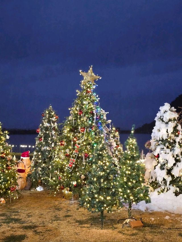 매일 눈내리는 경주 크리스마스 데이트코스🎄 매일 눈내리는 경주 크리스마스 데이트코스🎄