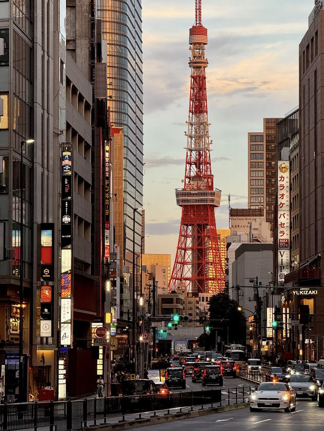 도쿄 1박 2일 여행 코스