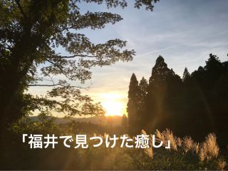     「禅と大仏、そしてお城を巡る福井旅」