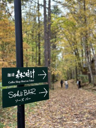 Hokkaido | "Mori no Tokei" — The Entire Forest is My Cafe.