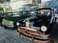 From elegant cruisers to quirky classics