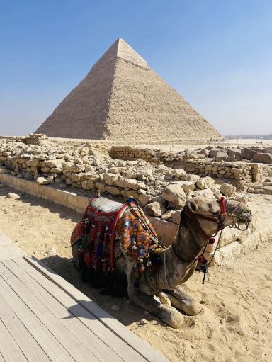ファラオの国へ。4千年の時を超えるエジプトの旅。 | Trip.com アスワン