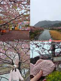 แพลนญี่ปุ่น 5 วัน 4 คืน 🇯🇵เจอทั้งหิมะ ซากุระ และฟูจิงบไม่เกิน 20,000 บาท! ❄️🌸🗻