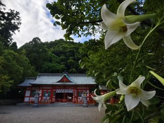 來阿須賀神社意外挖到長生不老藥傳說