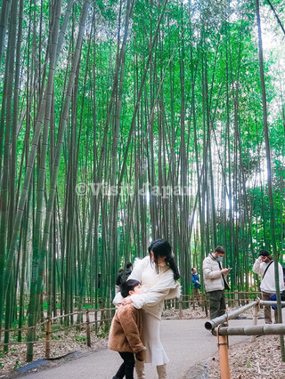 🎋🇯🇵 嵐山竹林…去京都必到嘅打卡位！