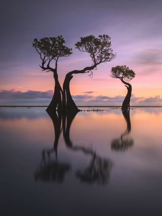 🌅 Walakiri Beach, Sumba Timur — Where the Sunset Turns Mangroves Into Art