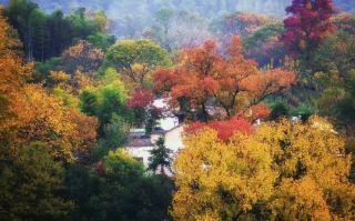 🍂 Tachuan | Autumn Straight Out of a Fairy Tale