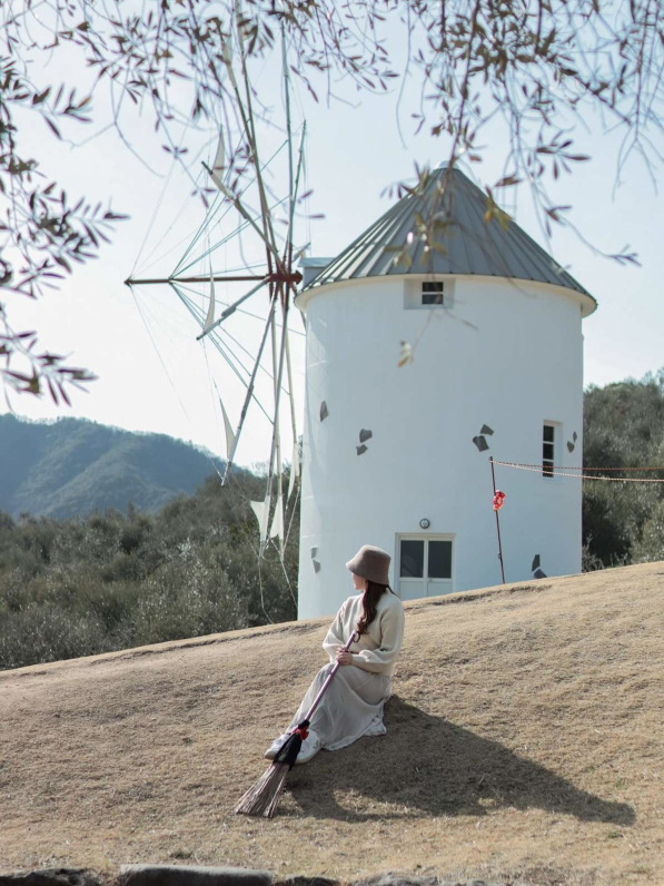 小豆島産風蘭吊り下げ式 9号 初夢フェア2026】＜誘遊四国キャンペーン適用商品＞ANAで行く！小豆島1