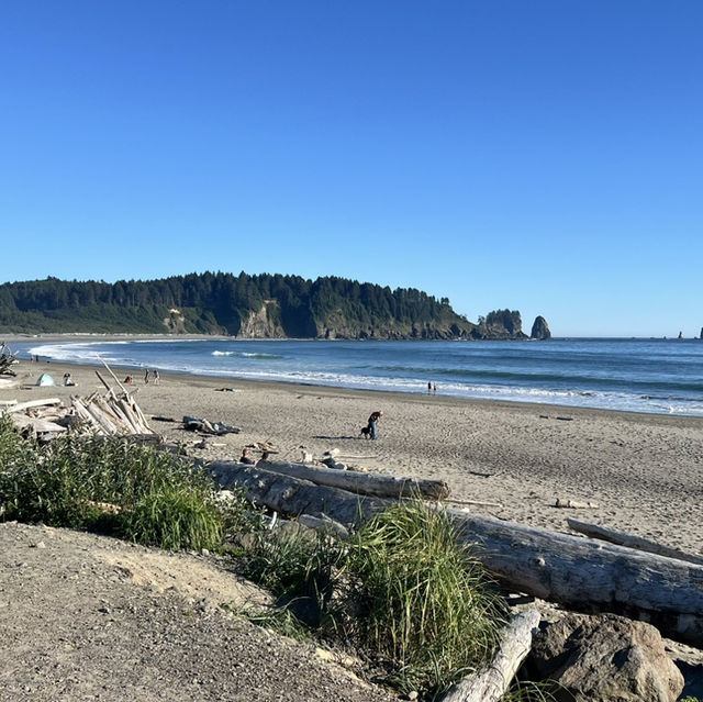 Olympic National Park in September 