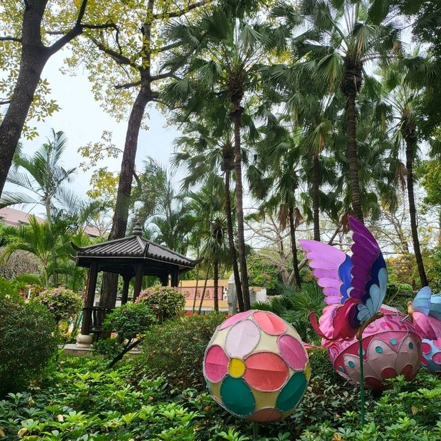 Spring Blooms in Guangzhou’s Culture Park! 🌸🌿