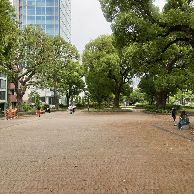 【東京都🇯🇵芝公園】都会のオアシス☺️東京タワーを見ながらのんびり散歩