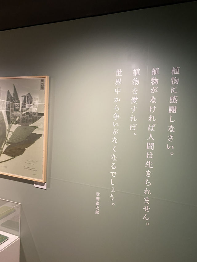 🇯🇵高知旅、朝ドラらんまんで話題になった【牧野植物園】