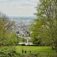 A beautiful and golden gem in Wiesbaden 