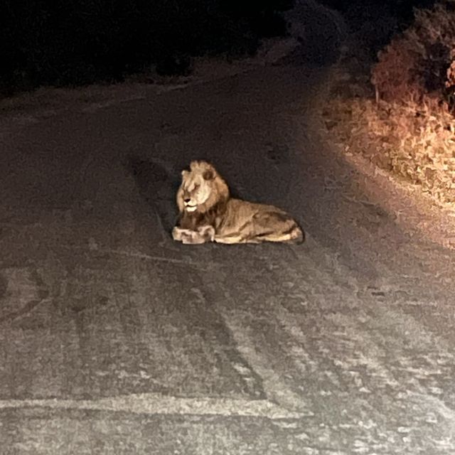 Kruger National Park