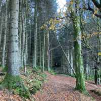 Fairlie moor loop trail