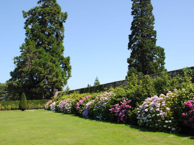 Powerscourt House & Gardens 🌴