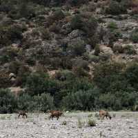 Afrtan valley near chefchaouen