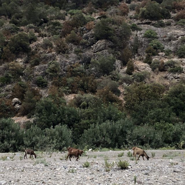 Afrtan valley near chefchaouen