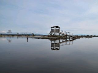 The hidden gem of Albania: Divjaka-Karavasta National Park