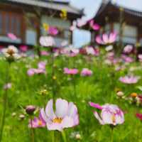 首爾韓屋村，適合下午消磨時光