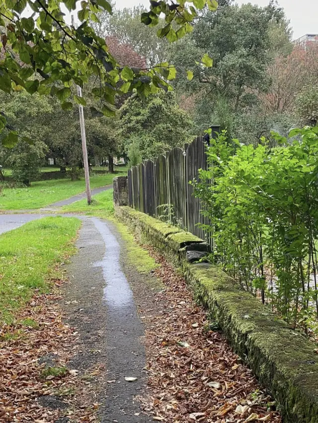 Autumn in Glasgow 🗺️