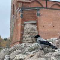  A Panoramic Journey Above Vilnius