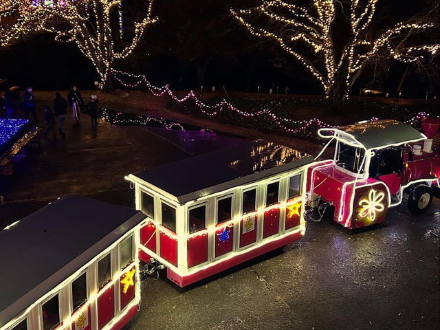 A beautiful illumination night at Totori flower park 