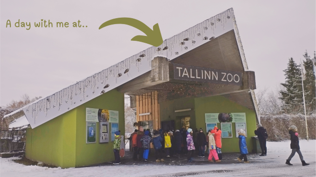 Tallinn Zoo - Estonia